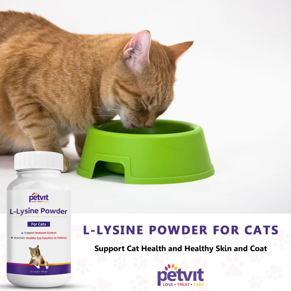Petvit L Lysine Powder for Cats - Image 8