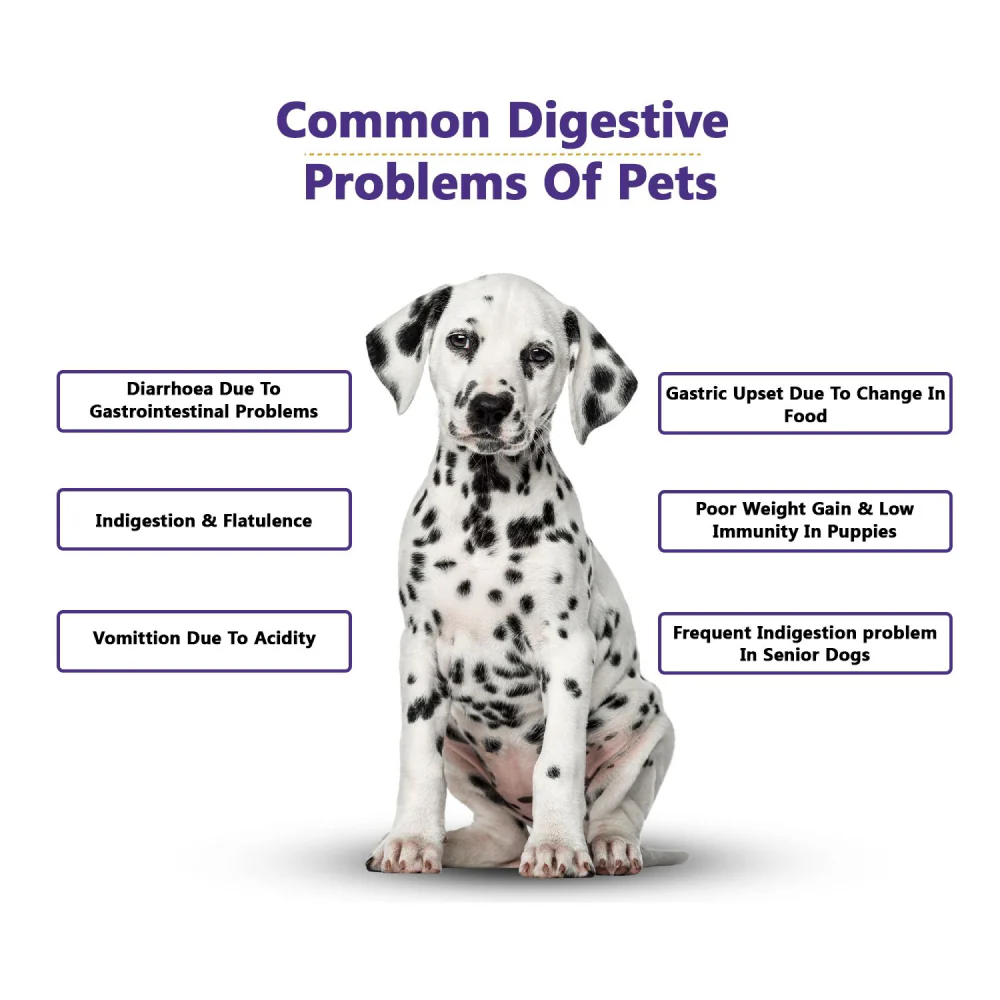 Petvit Pre & Probiotics Gut Health Powder for Dogs and Cats - Image 5