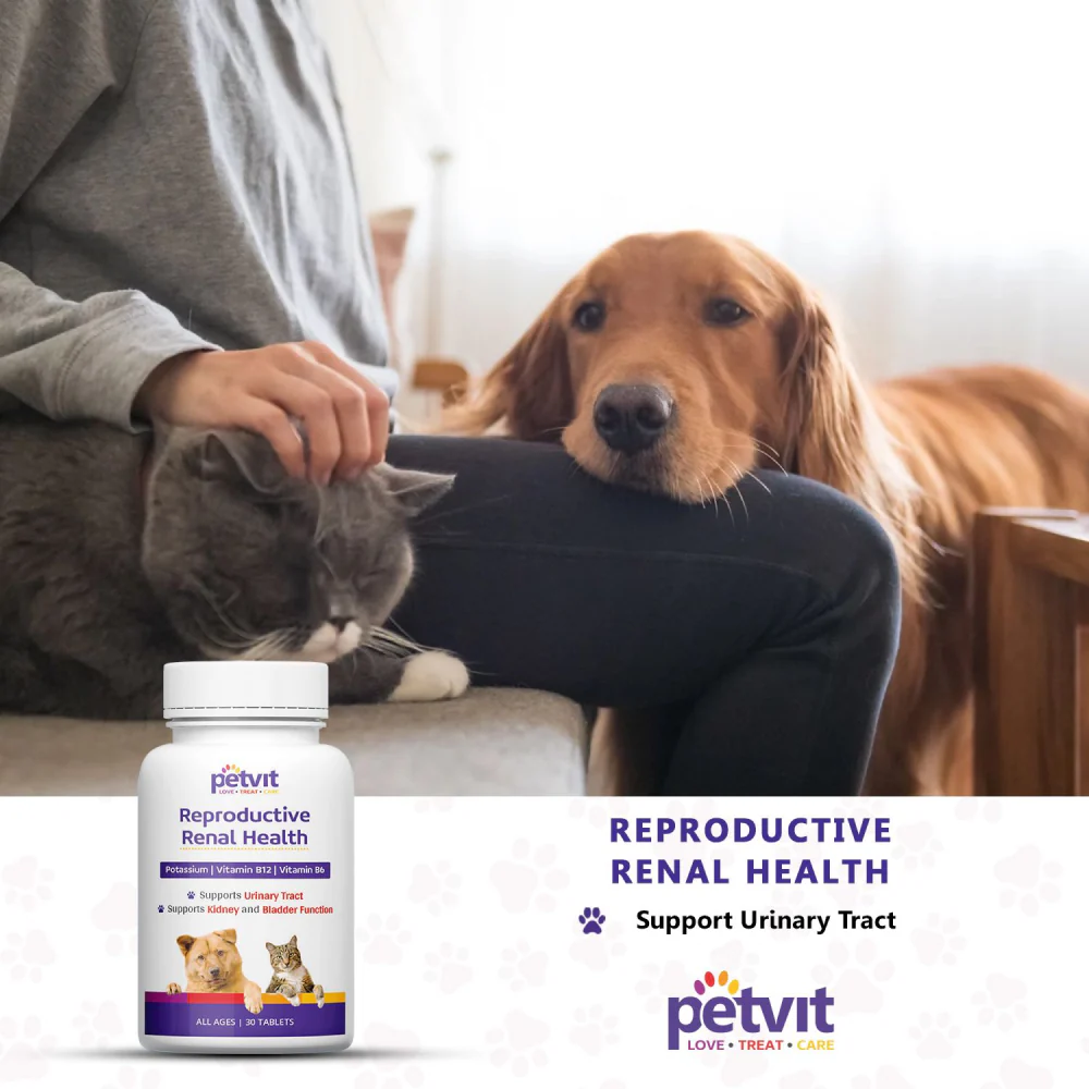 Petvit Reproductive Renal Health Tablet for Dogs and Cats - Image 7