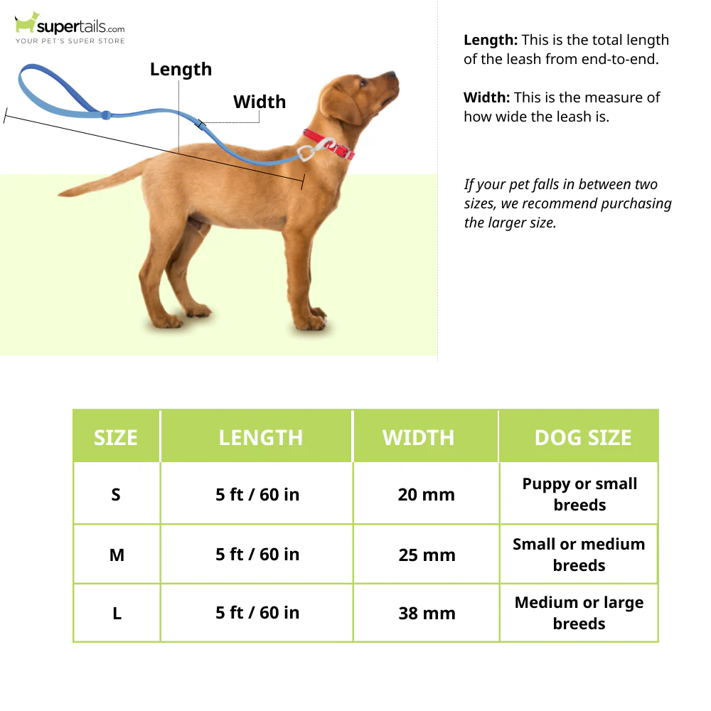 PetWale Long Lead Nylon Leash for Dogs (Blue) - Image 2
