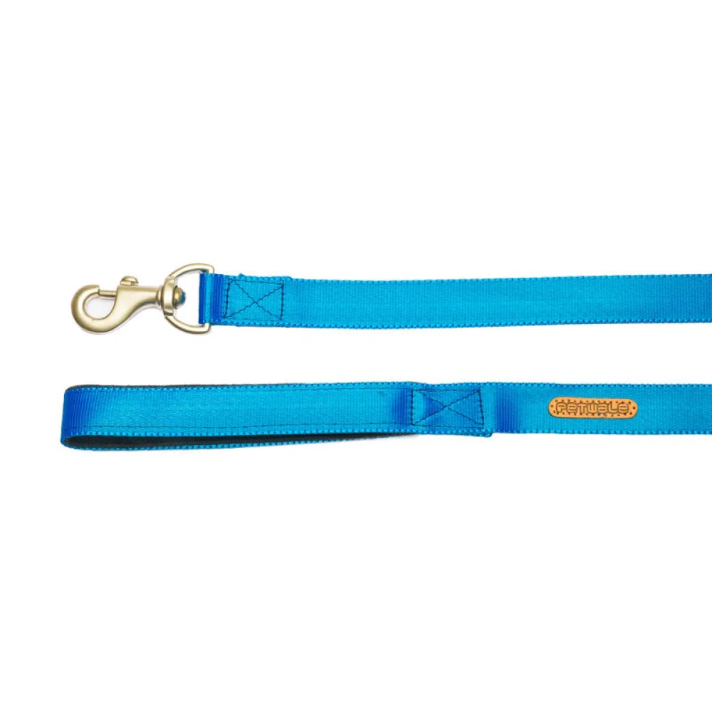 PetWale Long Lead Nylon Leash for Dogs (Blue) - Image 3