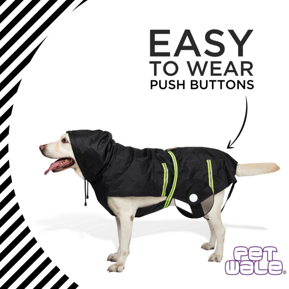 PetWale Reflective Raincoat for Dogs (Black) - Image 3