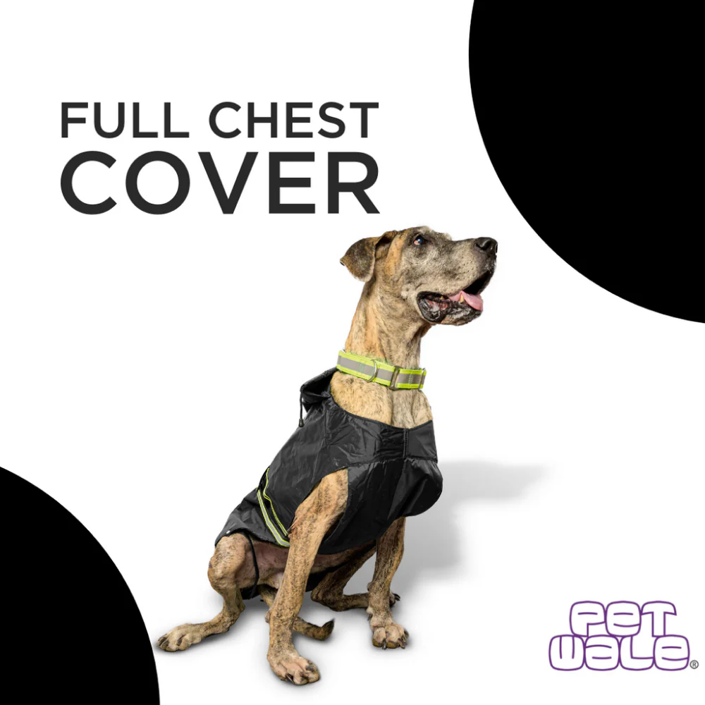 PetWale Reflective Raincoat for Dogs (Black) - Image 4