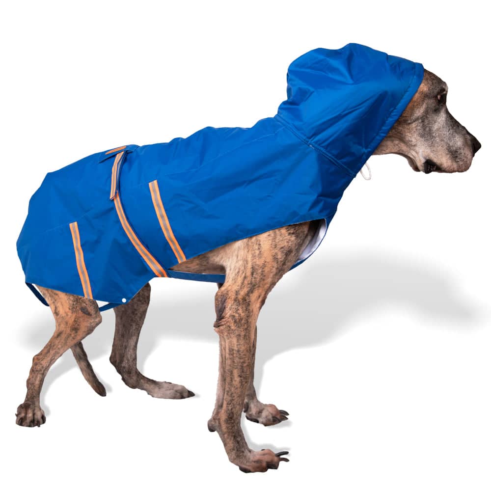 PetWale Reflective Raincoat for Dogs (Royal Blue) - Image 10