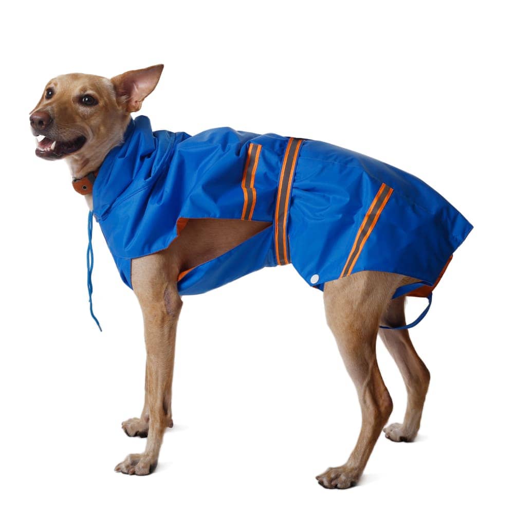 PetWale Reflective Raincoat for Dogs (Royal Blue) - Image 8