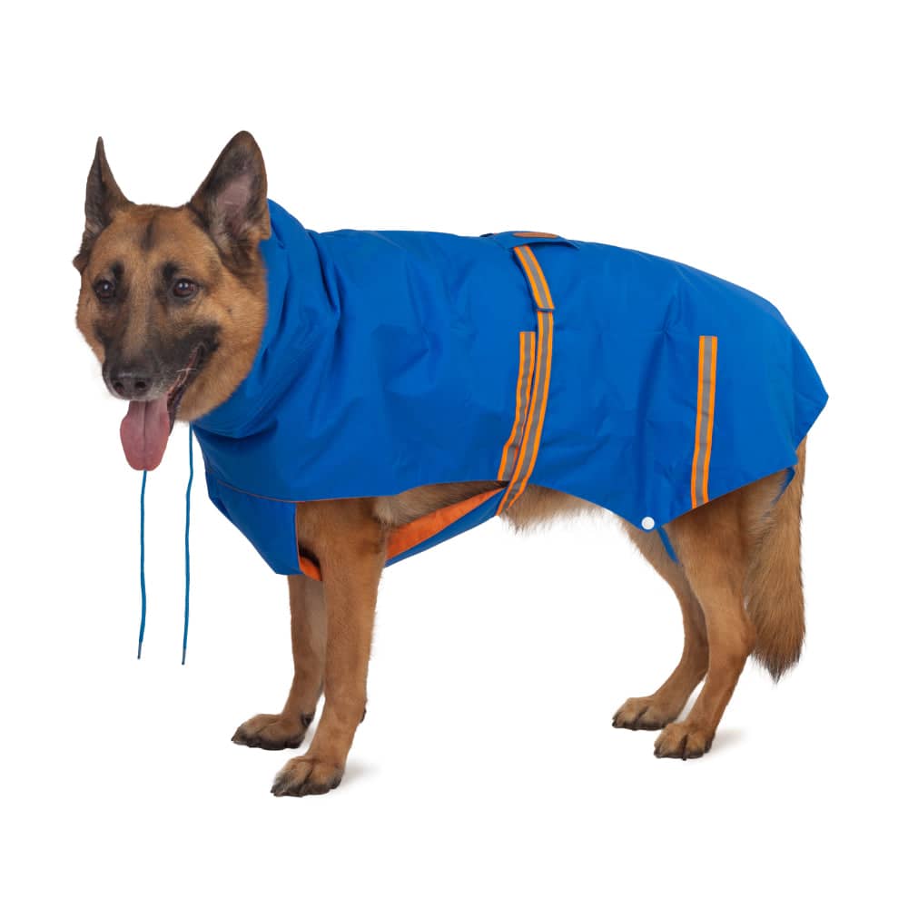 PetWale Reflective Raincoat for Dogs (Royal Blue) - Image 9