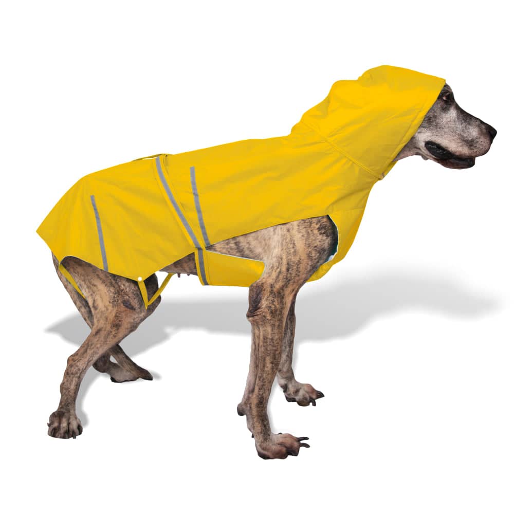 PetWale Reflective Raincoat for Dogs (Yellow) - Image 10