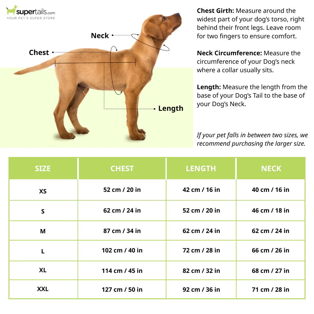 PetWale Reflective Raincoat for Dogs (Yellow) - Image 2