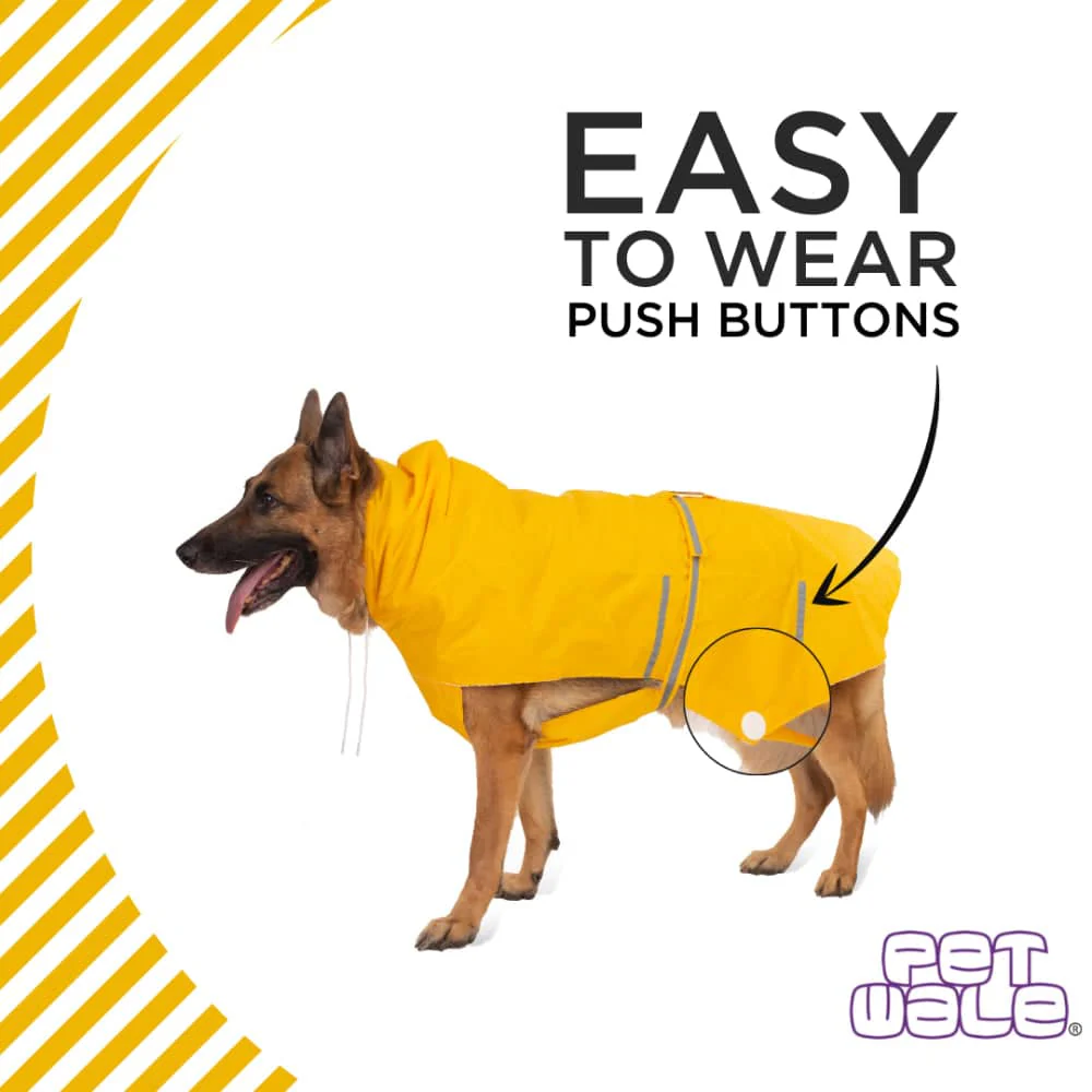 PetWale Reflective Raincoat for Dogs (Yellow) - Image 4
