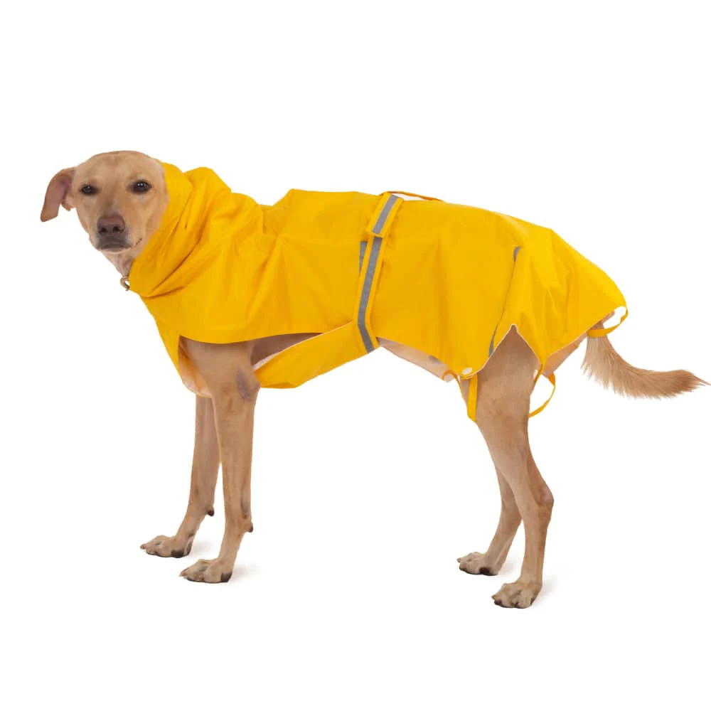 PetWale Reflective Raincoat for Dogs (Yellow) - Image 8