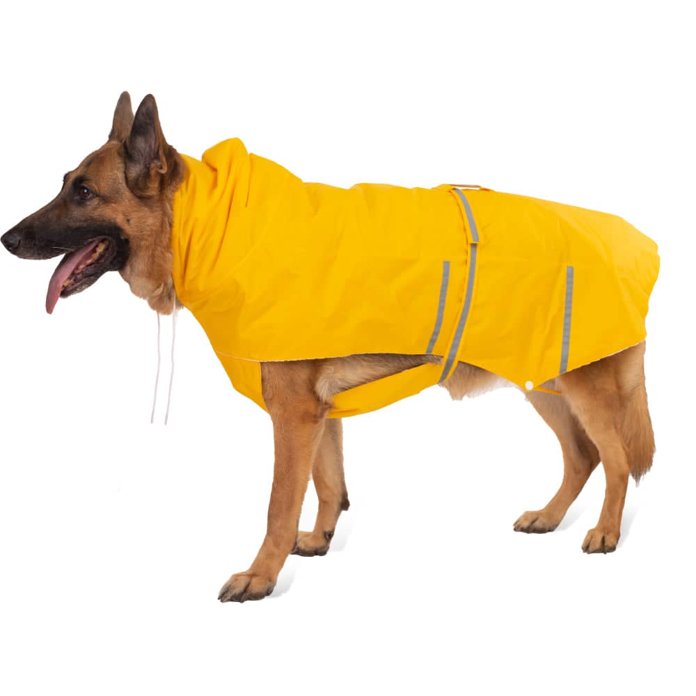 PetWale Reflective Raincoat for Dogs (Yellow) - Image 9