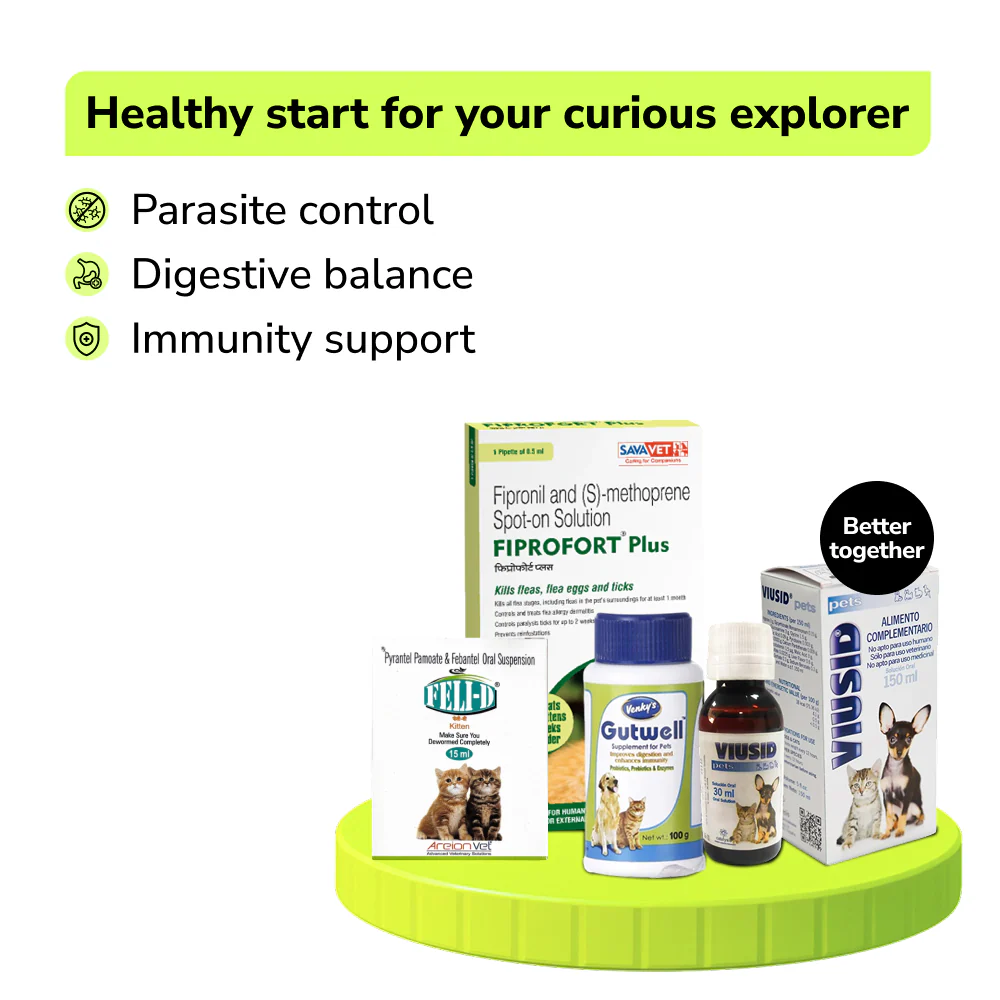Preventive Care Kit Combo for Kitten (Dewormer + Spoton + Supplement + Probiotic) - Image 2