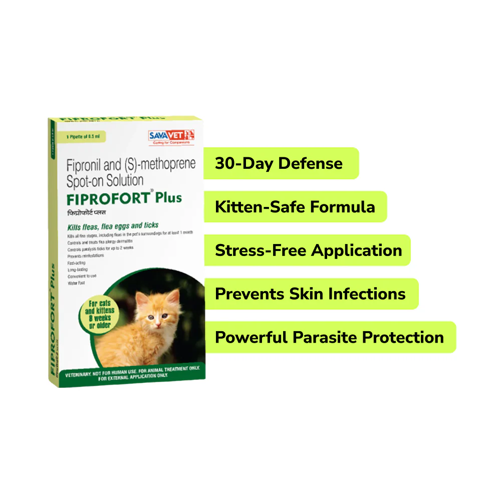Preventive Care Kit Combo for Kitten (Dewormer + Spoton + Supplement + Probiotic) - Image 3