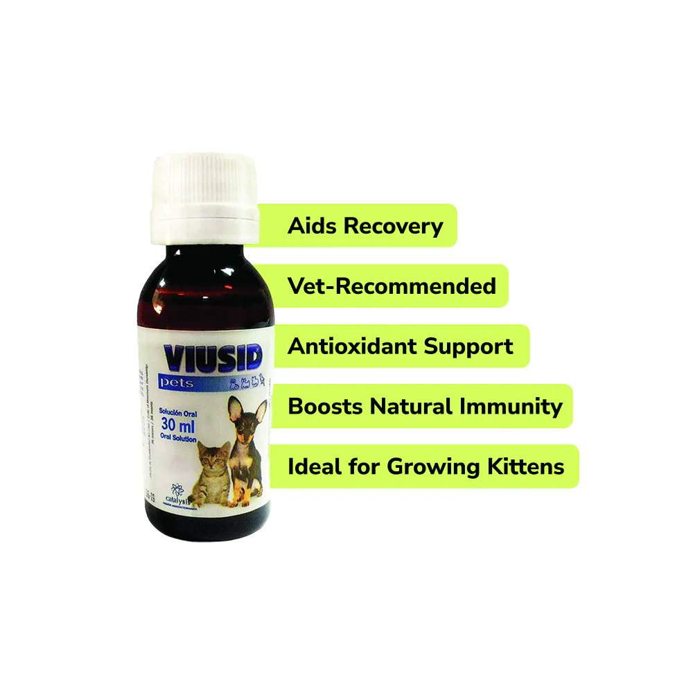 Preventive Care Kit Combo for Kitten (Dewormer + Spoton + Supplement + Probiotic) - Image 5