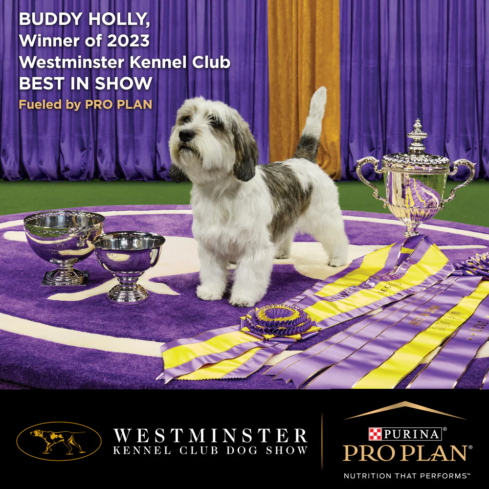 Purina Pro Plan Chicken Medium Breed Adult Dog Dry Food (New Improved Formula) - Image 8