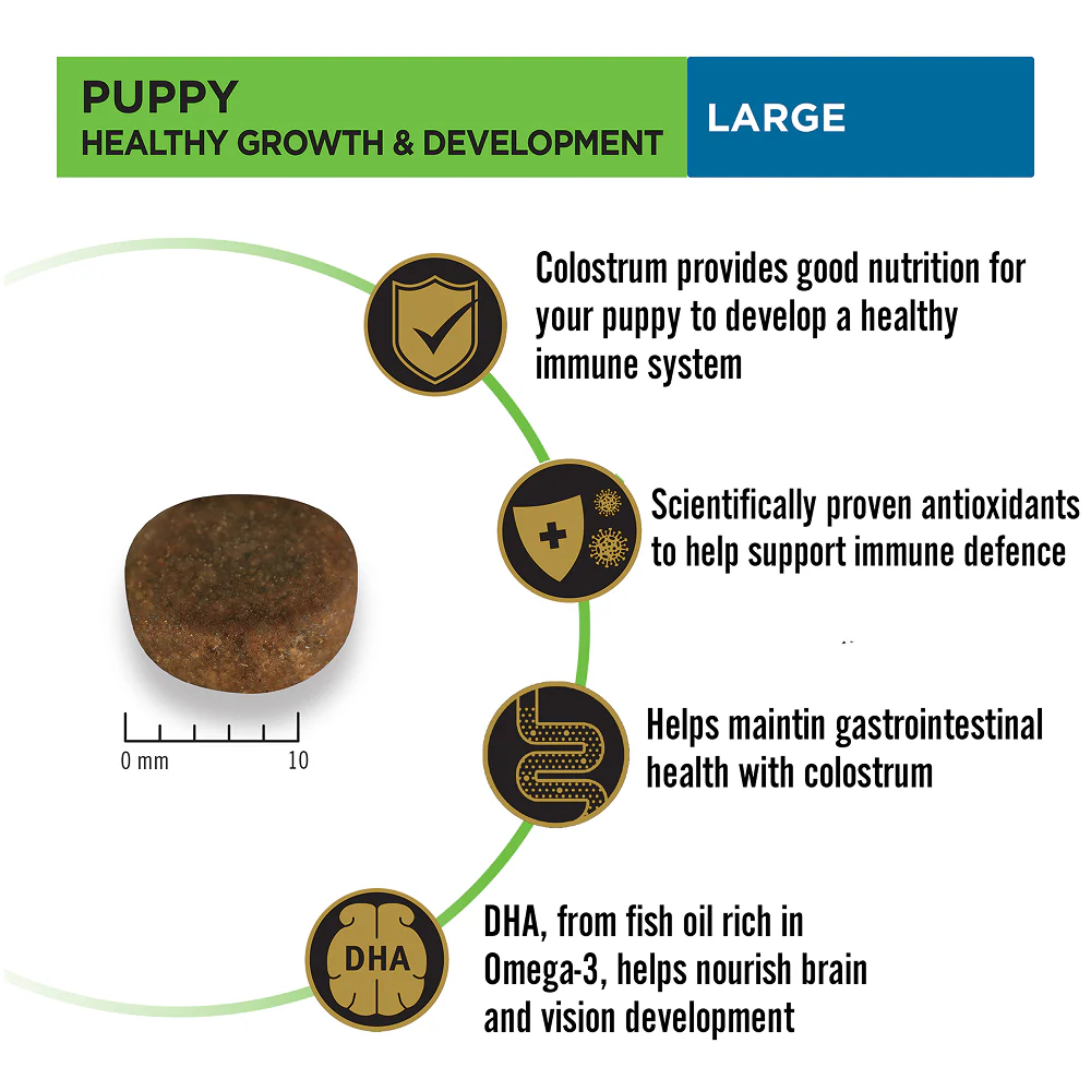 Pro Plan Chicken Large Breed Puppy Dog Dry Food (New Improved Formula) - Image 2
