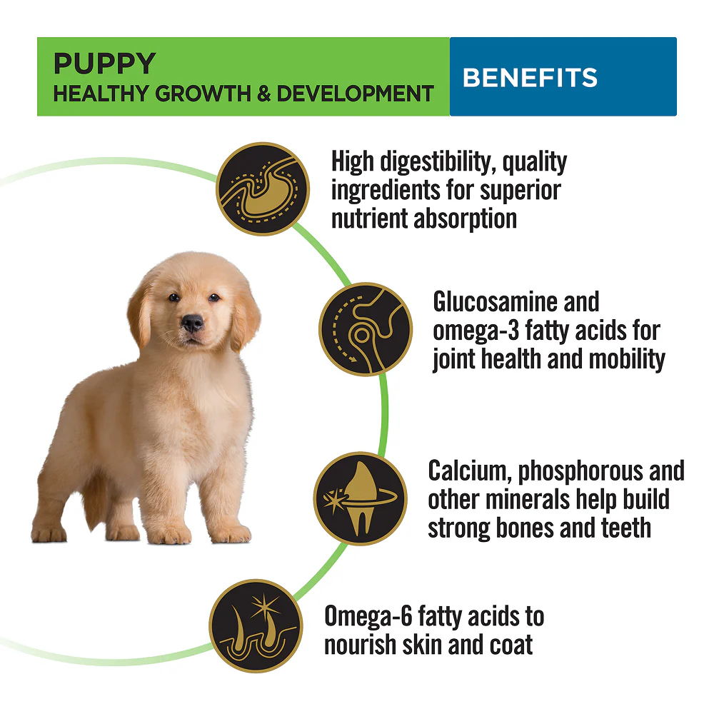 Pro Plan Chicken Large Breed Puppy Dog Dry Food (New Improved Formula) - Image 3