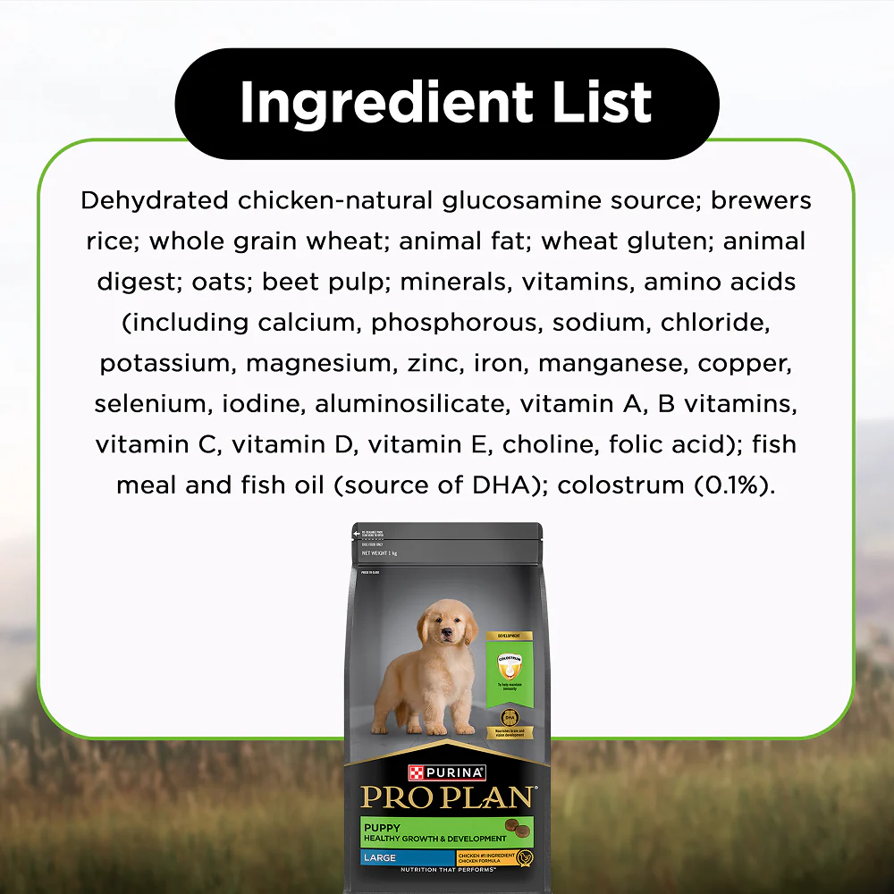 Pro Plan Chicken Large Breed Puppy Dog Dry Food (New Improved Formula) - Image 4