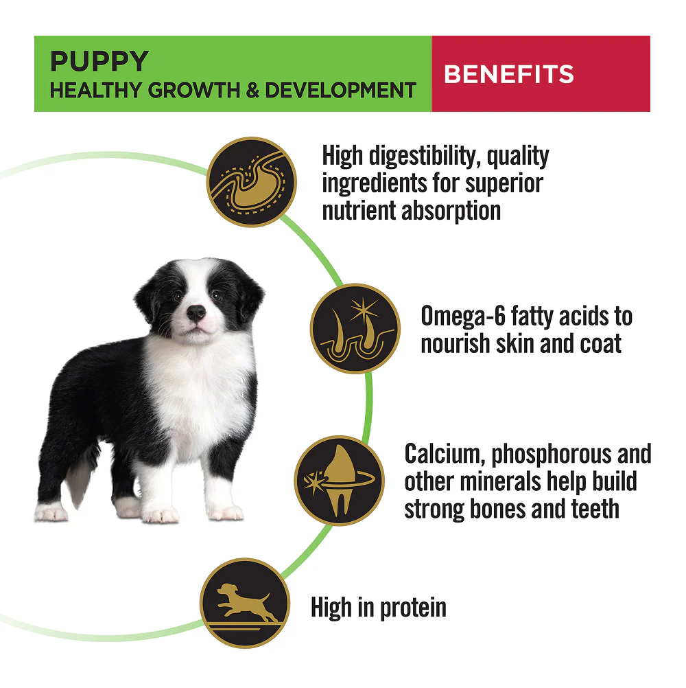 Purina Pro Plan Chicken Medium Breed Puppy Dog Dry Food (New Improved Formula) - Image 6