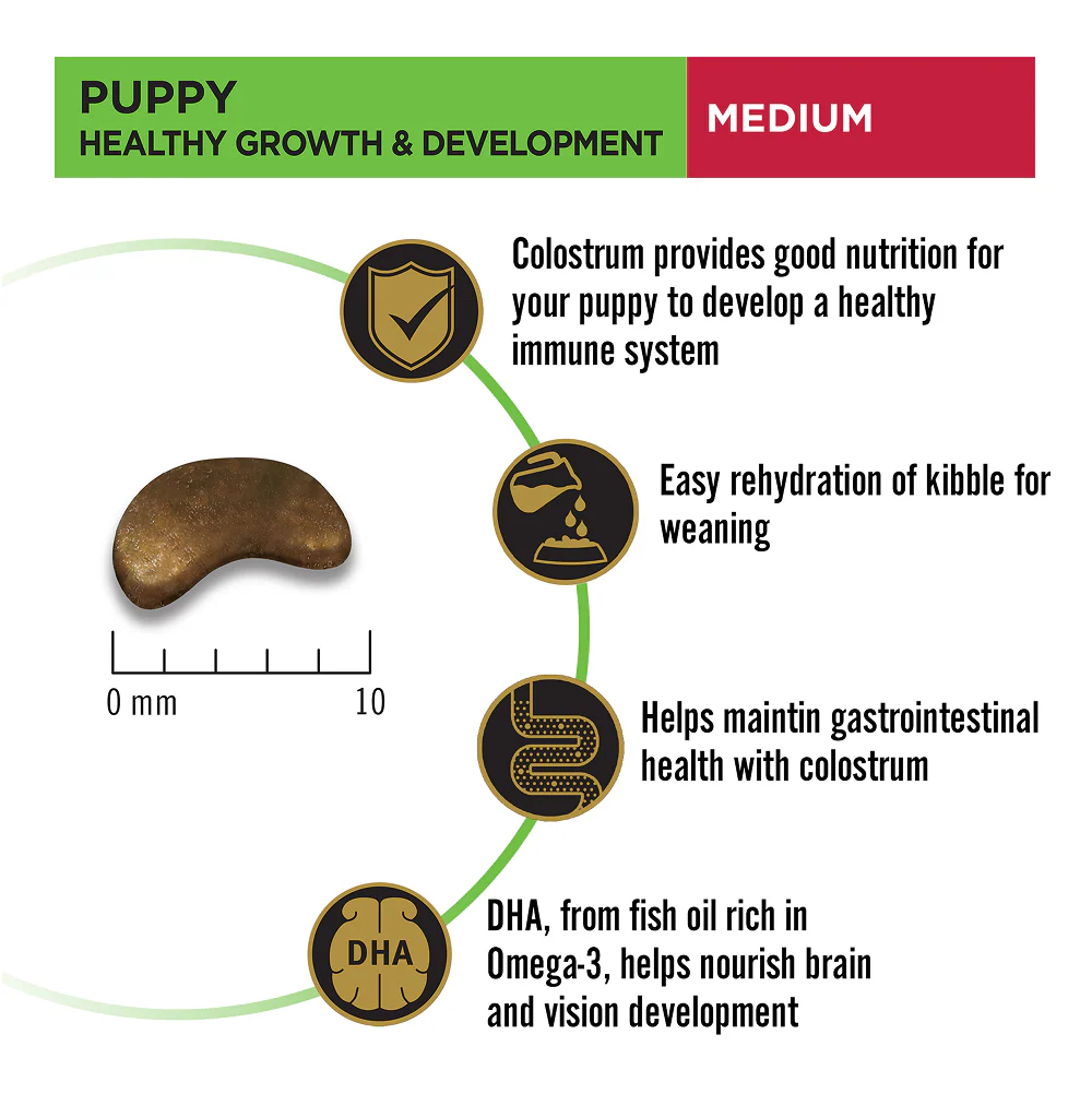 Pro Plan Chicken Medium Breed Puppy Dog Dry Food (New Improved Formula) - Image 3