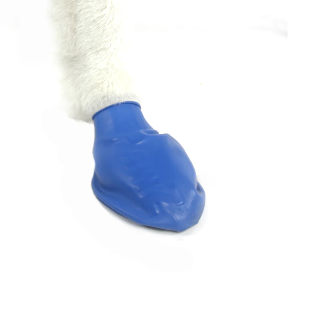 Protex PawZ Disposable and Reusable Boots for Dogs (Blue) - Image 4