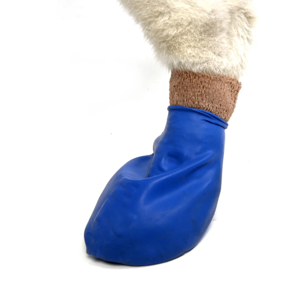 Protex PawZ Disposable and Reusable Boots for Dogs (Blue) - Image 5