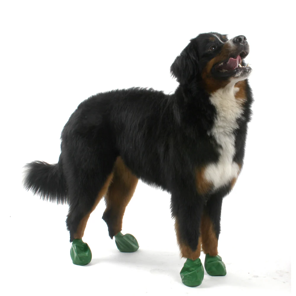 Protex PawZ Disposable and Reusable Boots for Dogs (Green) - Image 2