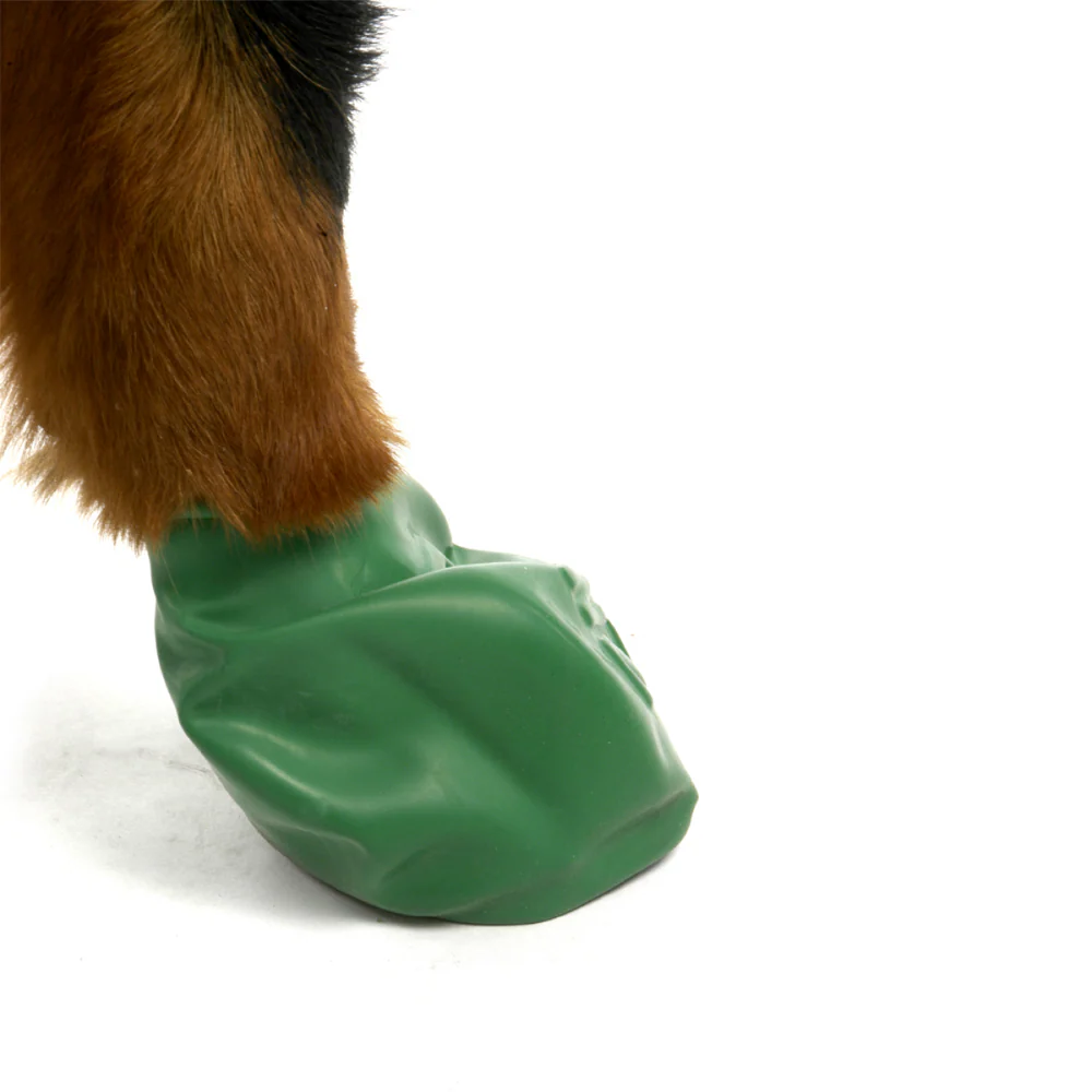 Protex PawZ Disposable and Reusable Boots for Dogs (Green) - Image 6