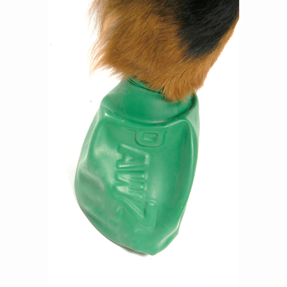 Protex PawZ Disposable and Reusable Boots for Dogs (Green) - Image 9