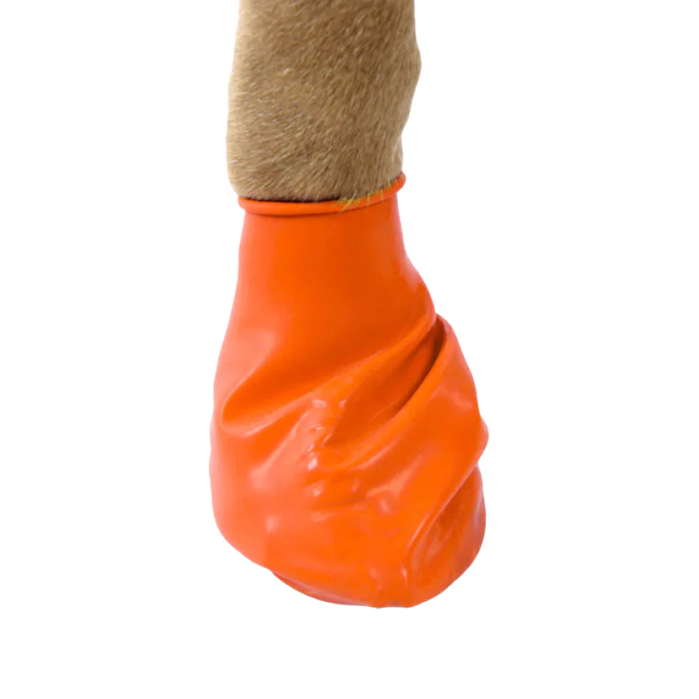 Protex PawZ Disposable and Reusable Bootz for Dogs (Orange) - Image 2