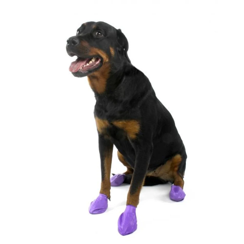 Protex PawZ Disposable and Reusable Boots for Dogs (Purple) - Image 2