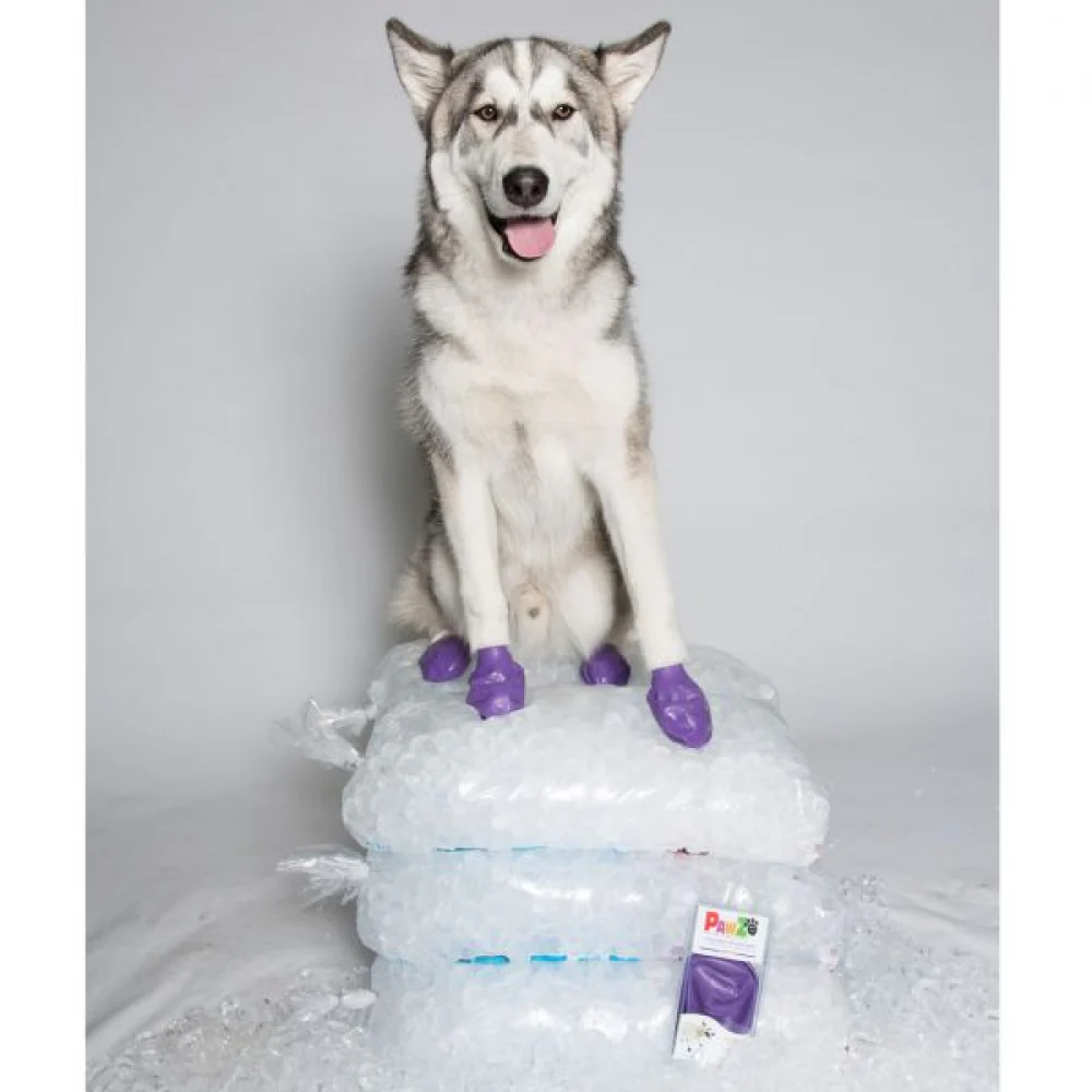Protex PawZ Disposable and Reusable Boots for Dogs (Purple) - Image 5