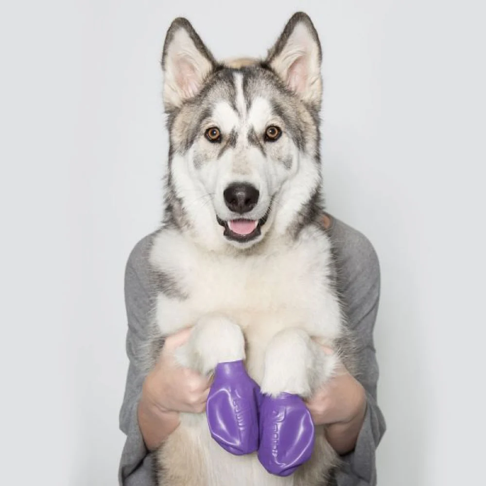 Protex PawZ Disposable and Reusable Boots for Dogs (Purple) - Image 6
