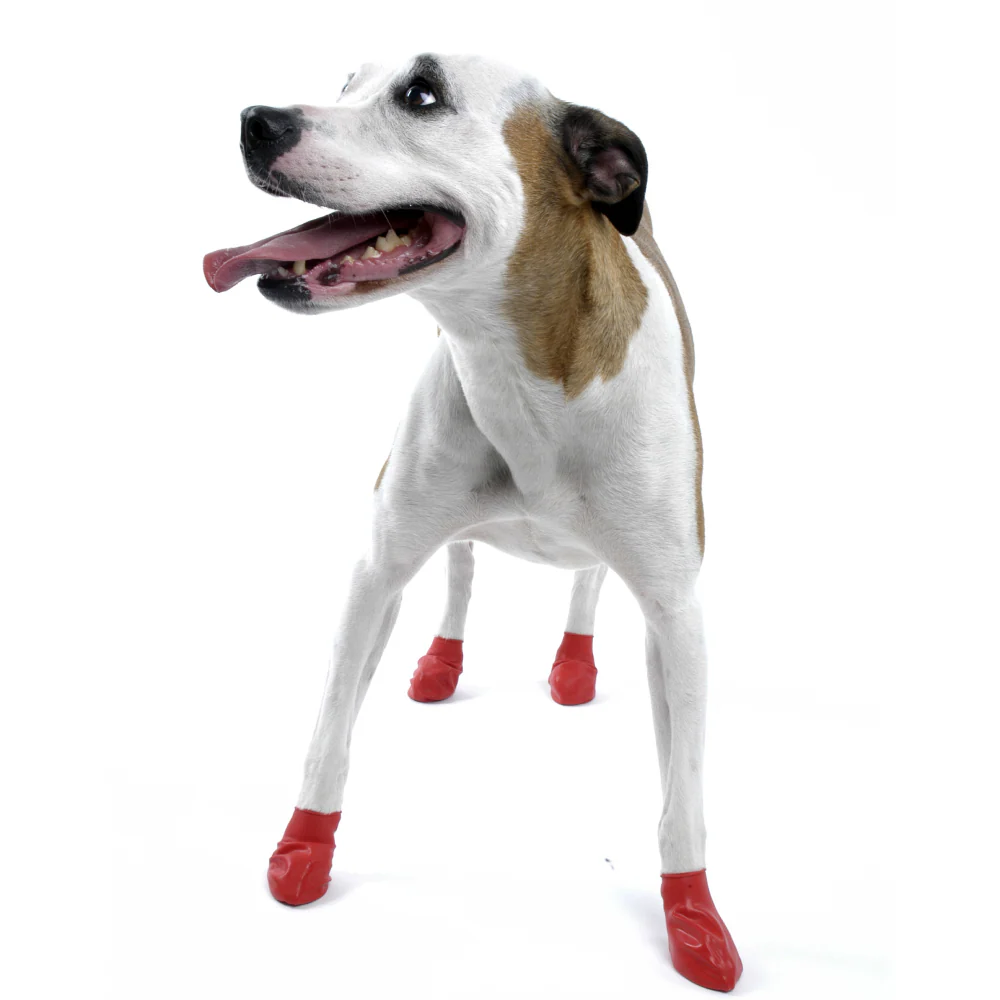 Protex PawZ Disposable and Reusable Boots for Dogs (Red) - Image 5
