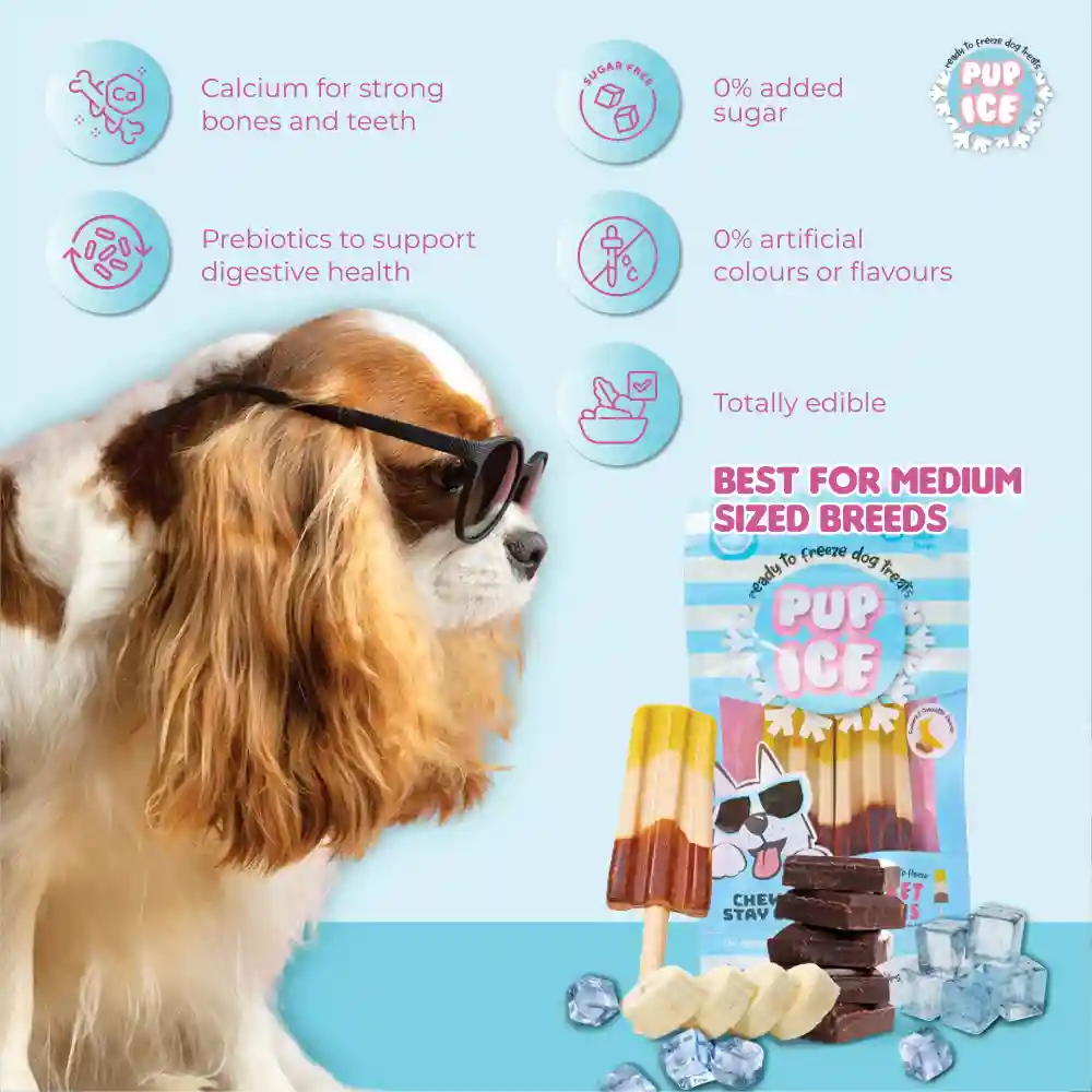 Pup Ice Chocolate and Banana Flavoured Rocket Lollies Dog Treat - Image 2