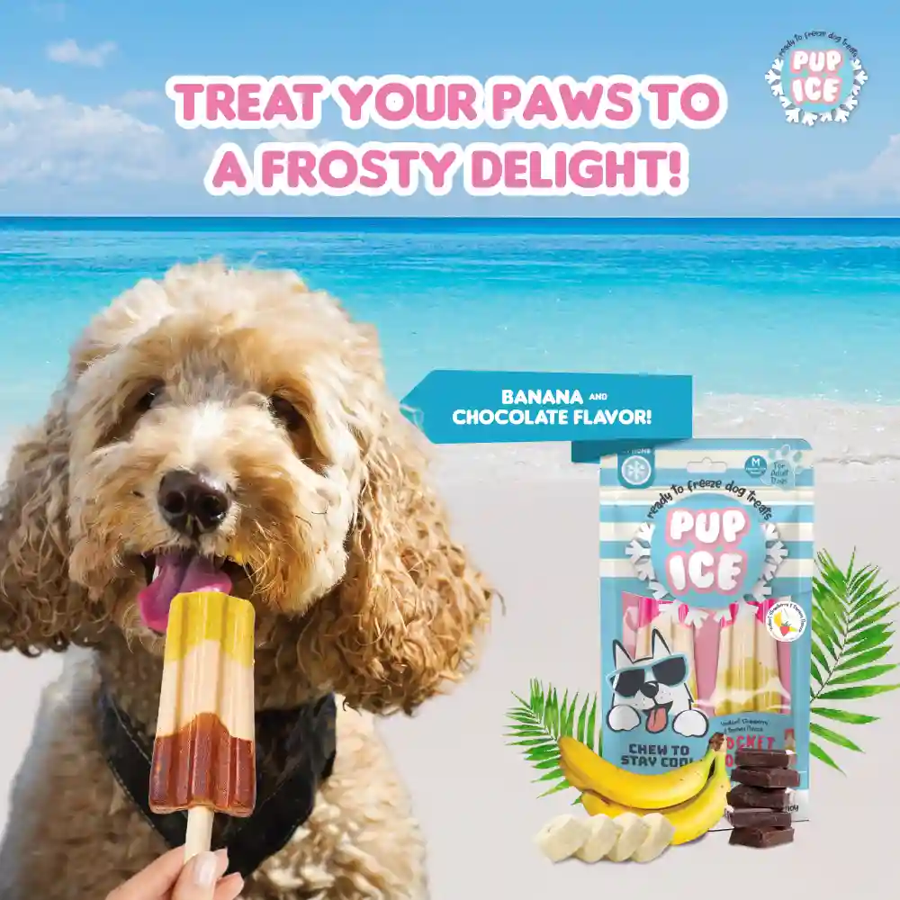 Pup Ice Chocolate and Banana Flavoured Rocket Lollies Dog Treat - Image 3