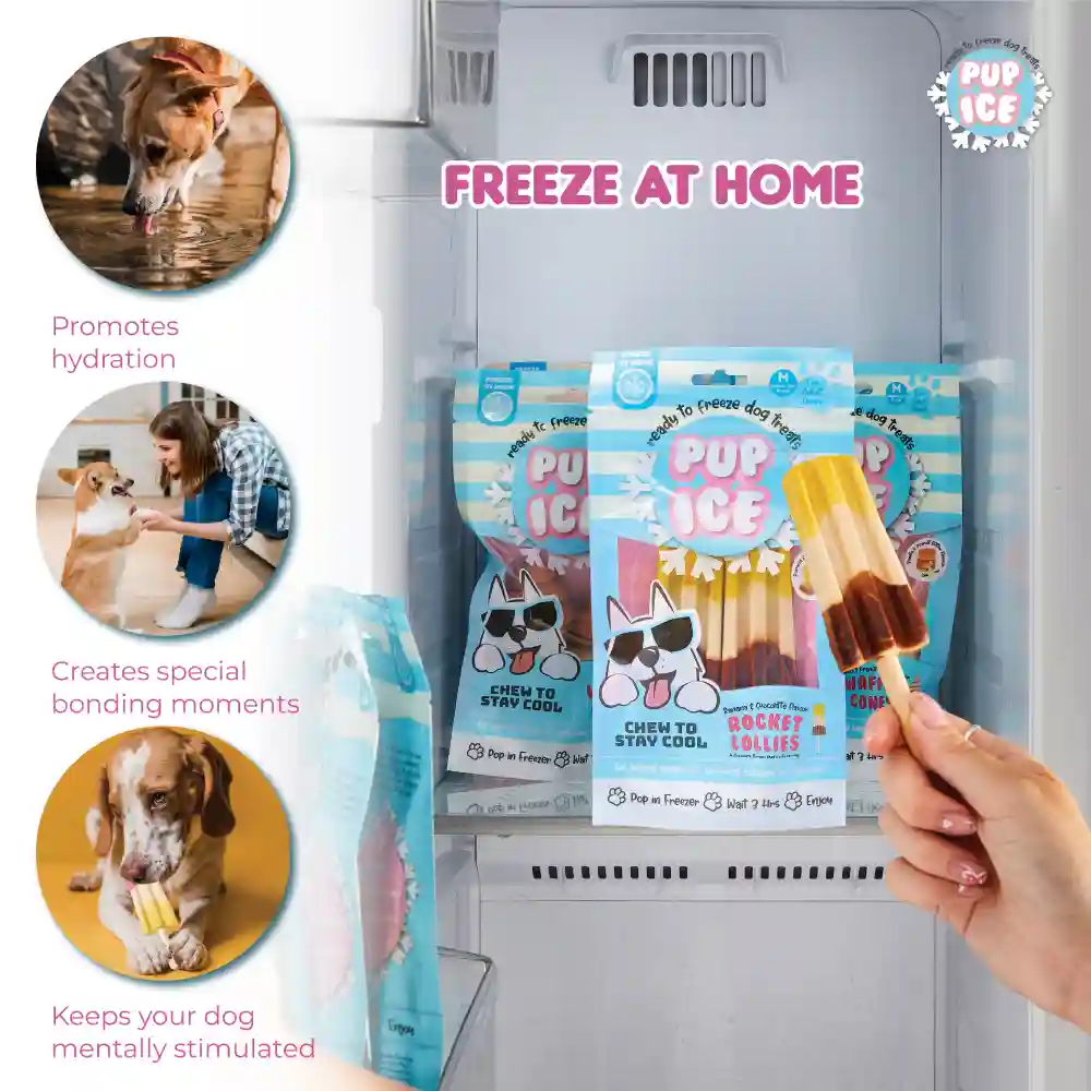Pup Ice Chocolate and Banana Flavoured Rocket Lollies Dog Treat - Image 5