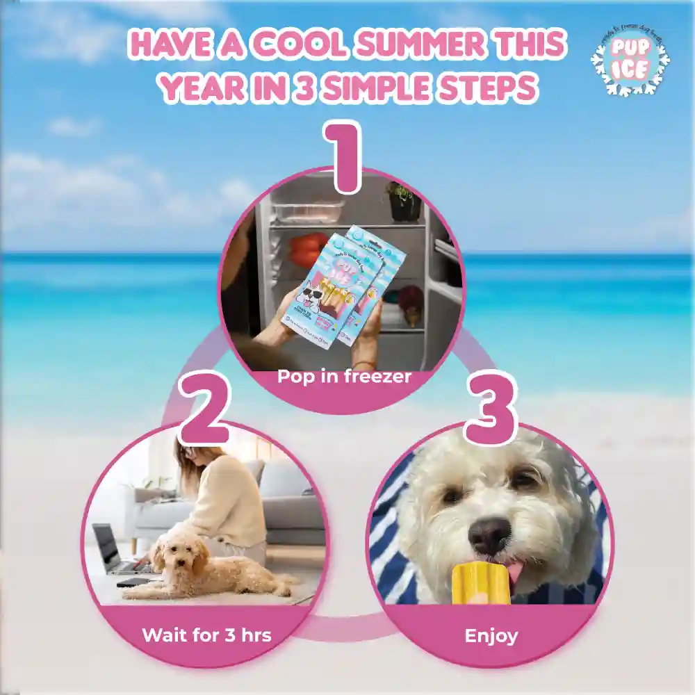 Pup Ice Chocolate and Banana Flavoured Rocket Lollies Dog Treat - Image 6