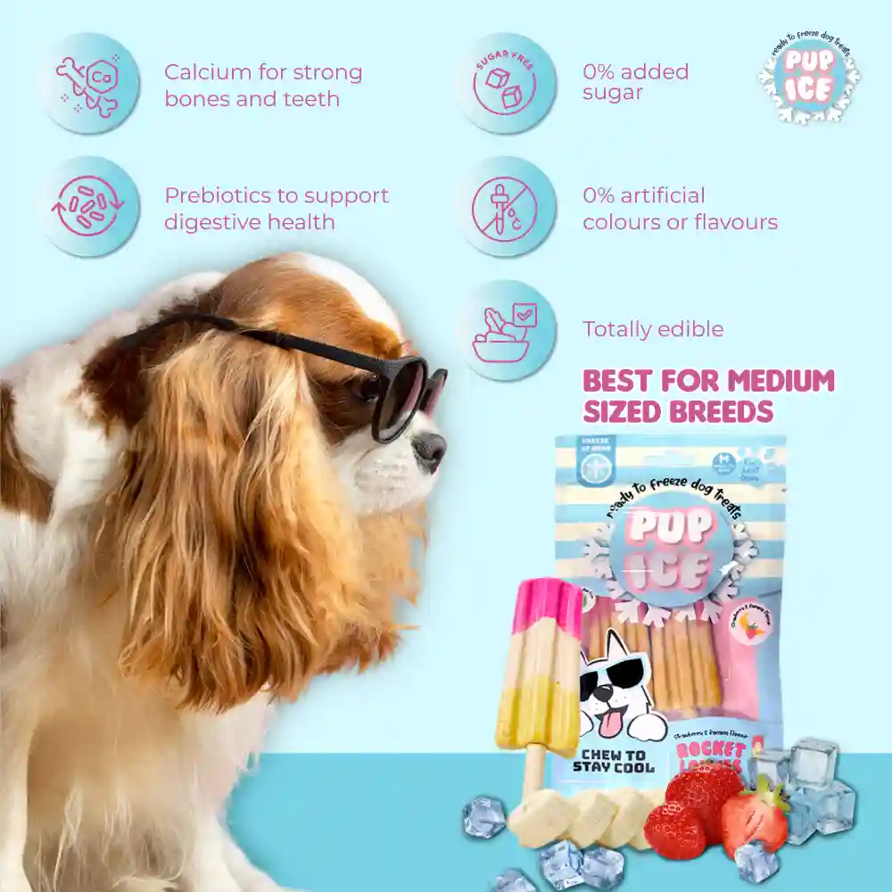 Pup Ice Meat Free Strawberry and Banana Flavoured Rocket Lollies Dog Treat - Image 2