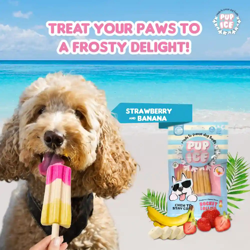Pup Ice Meat Free Strawberry and Banana Flavoured Rocket Lollies Dog Treat - Image 3