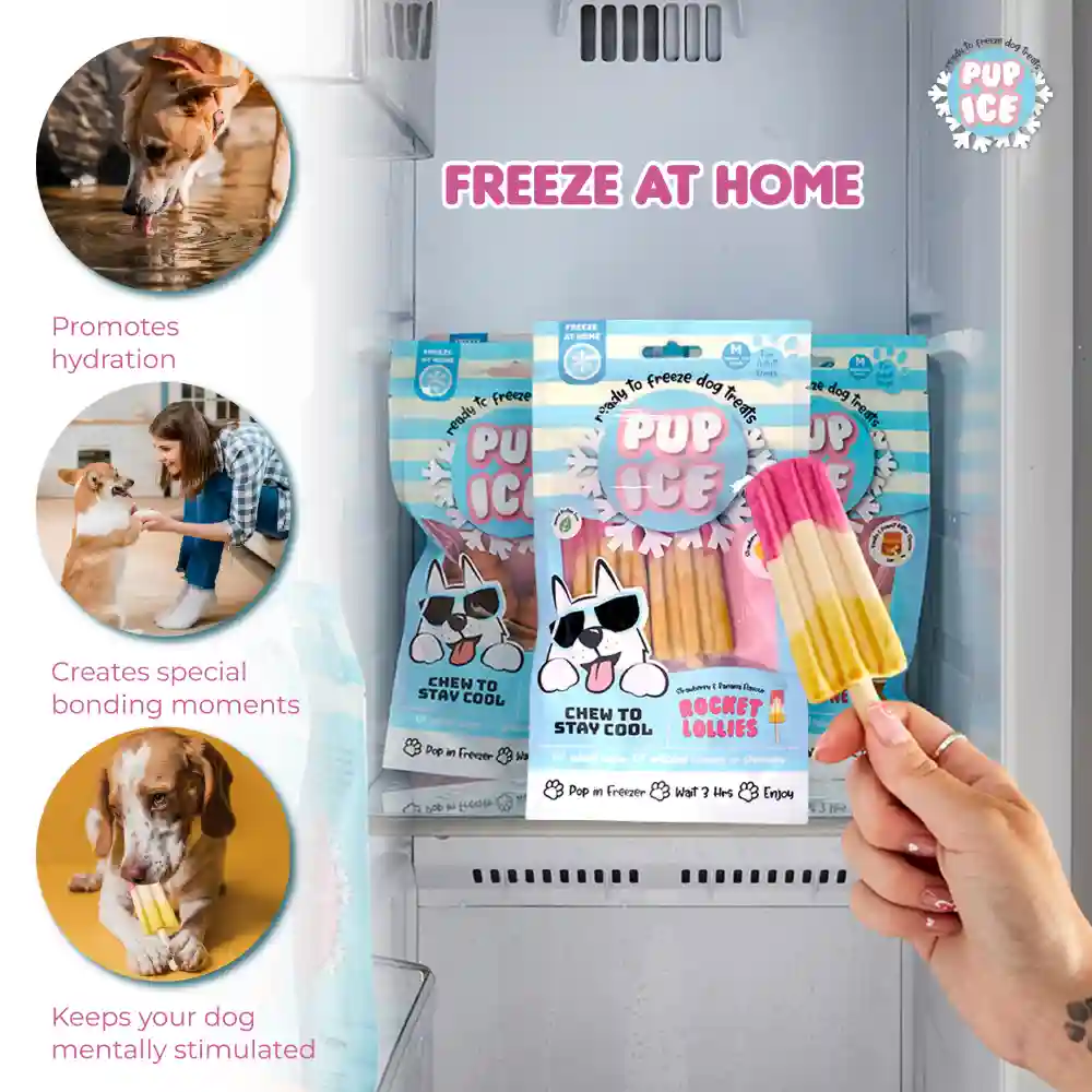 Pup Ice Meat Free Strawberry and Banana Flavoured Rocket Lollies Dog Treat - Image 5