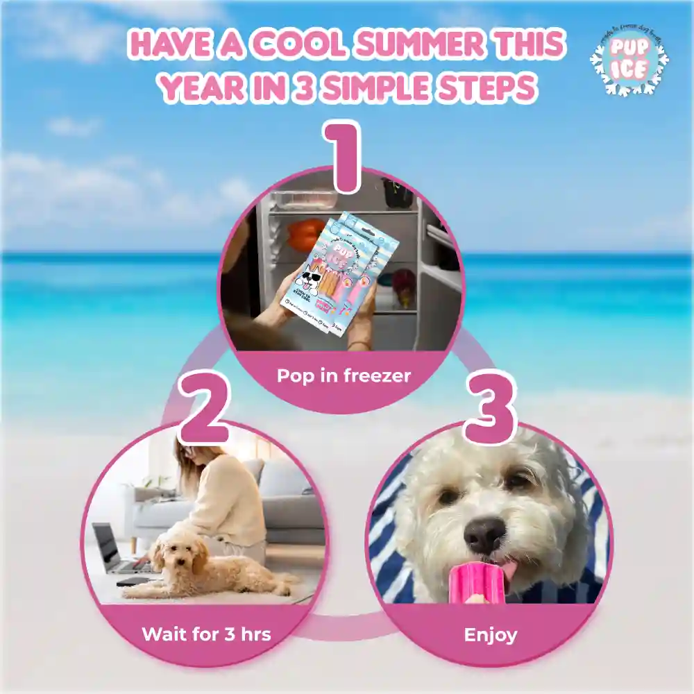 Pup Ice Meat Free Strawberry and Banana Flavoured Rocket Lollies Dog Treat - Image 6
