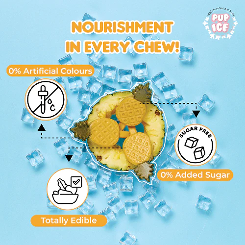 Pup Ice Pineapples Flavoured Fruity Lollies Dog Treat - Image 3