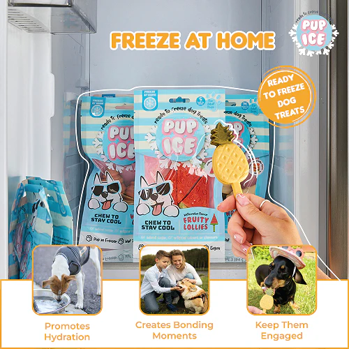 Pup Ice Pineapples Flavoured Fruity Lollies Dog Treat - Image 5