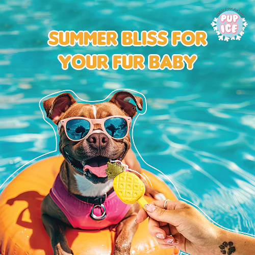 Pup Ice Pineapples Flavoured Fruity Lollies Dog Treat - Image 6