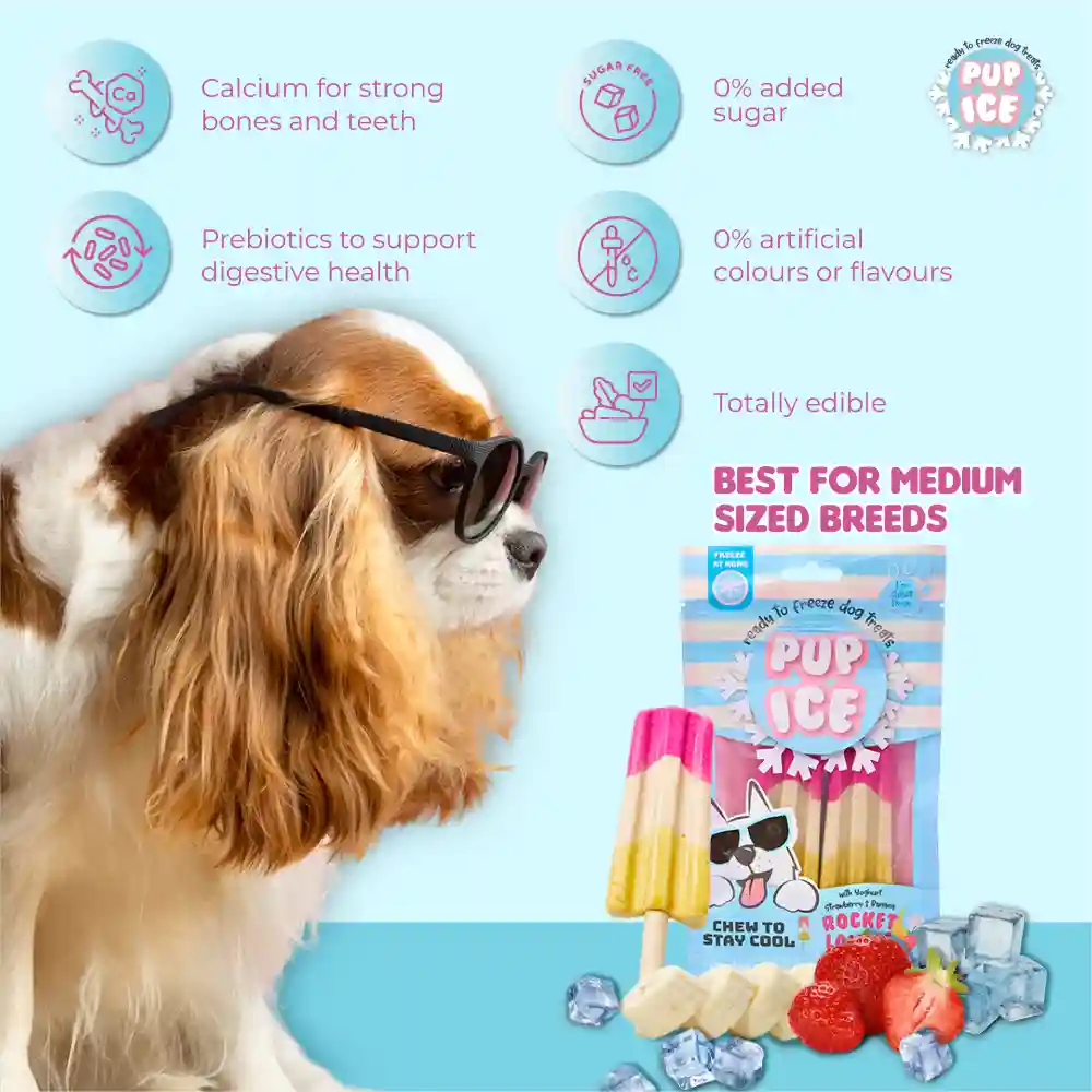Pup Ice Strawberry and Banana Flavoured Rocket Lollies Dog Treat - Image 2