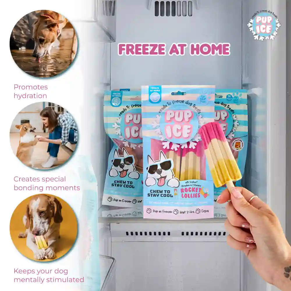 Pup Ice Strawberry and Banana Flavoured Rocket Lollies Dog Treat - Image 3