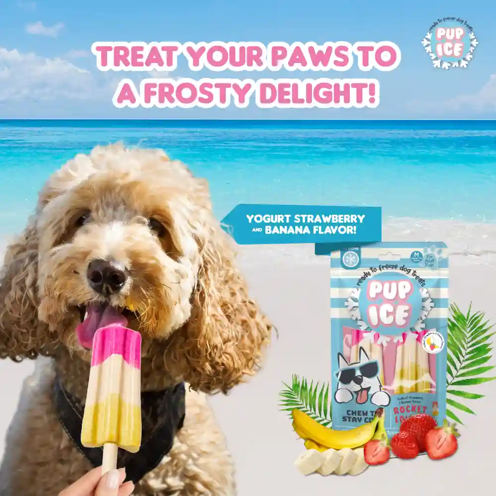 Pup Ice Strawberry and Banana Flavoured Rocket Lollies Dog Treat - Image 5