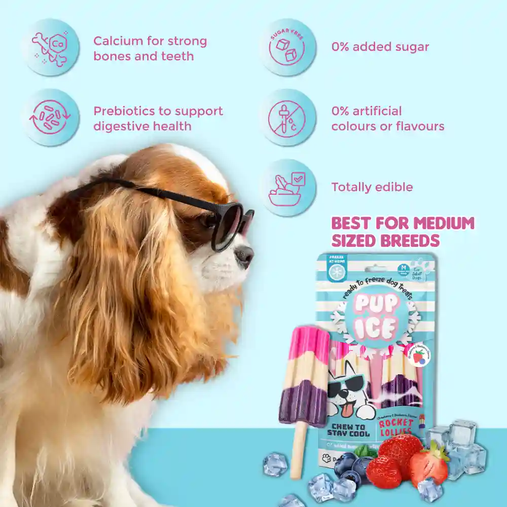 Pup Ice Strawberry and Blueberry Flavoured Rocket Lollies Dog Treat - Image 2