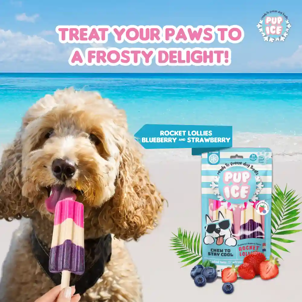 Pup Ice Strawberry and Blueberry Flavoured Rocket Lollies Dog Treat - Image 4